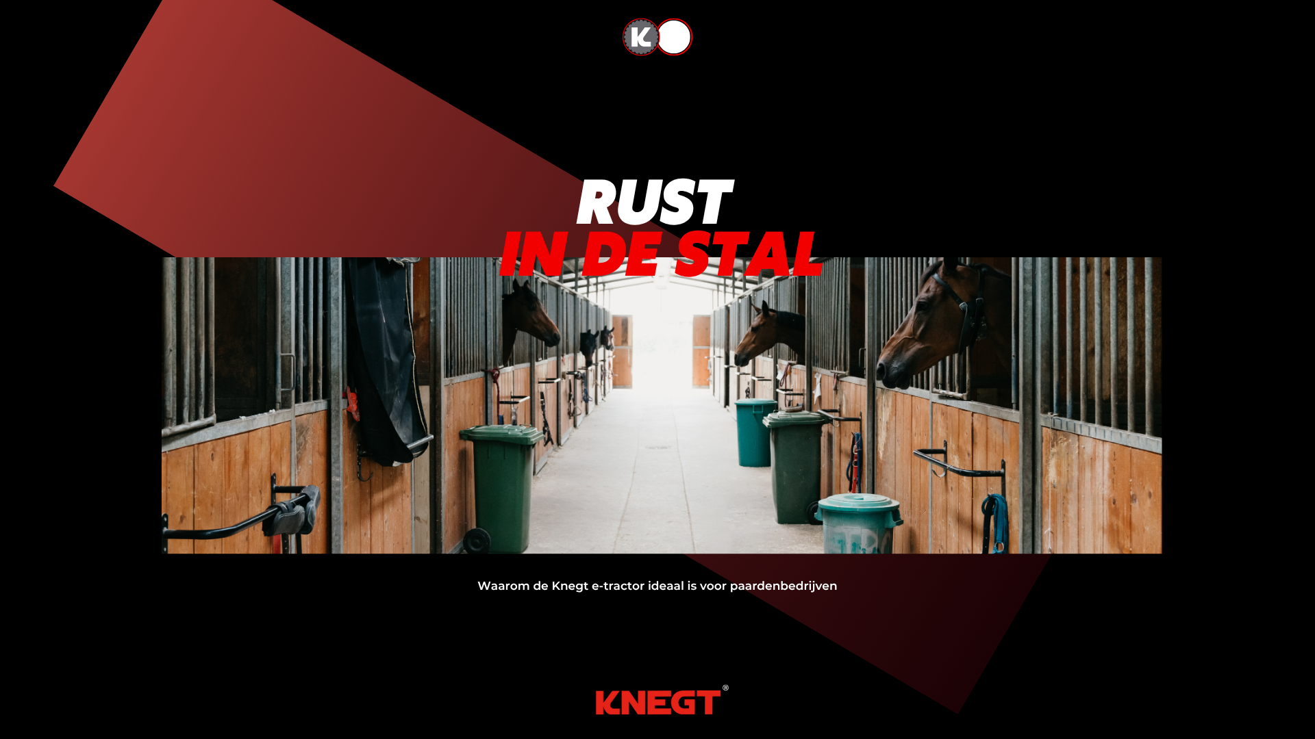 Quiet, clean and stress-free: Knegt in the equestrian world