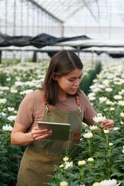 Medewerker in de kas bij Beyond Chrysantium